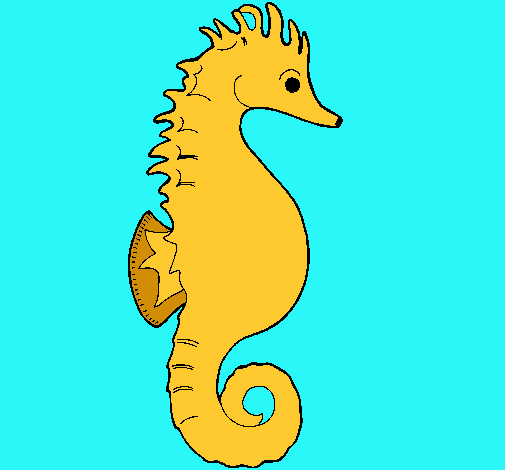 Caballito de mar