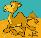 Dibujo Camello pintado por x