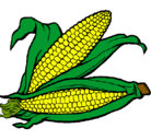 Dibujo Mazorca de maíz pintado por Juan