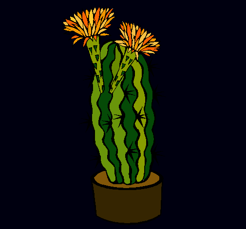 Cactus con flores