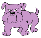 Dibujo Perro Bulldog pintado por sergio
