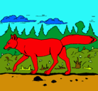 Dibujo Coyote pintado por Oscarinisp