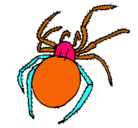 Dibujo Araña venenosa pintado por ana