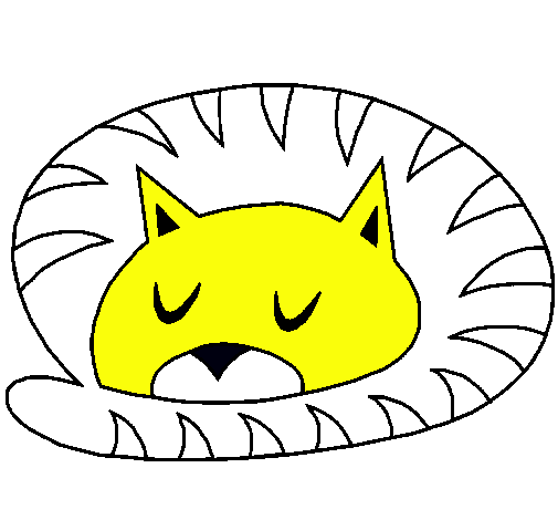 Gato durmiendo