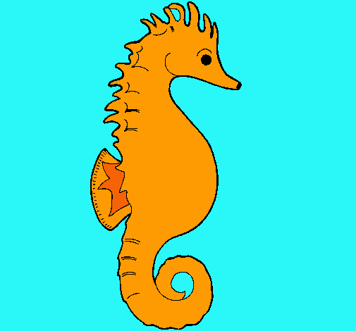 Caballito de mar