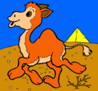 Dibujo Camello pintado por fernando