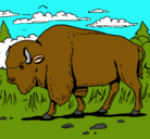 Dibujo Búfalo  pintado por kokito