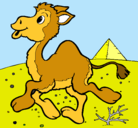 Dibujo Camello pintado por joaquinencamellobebe