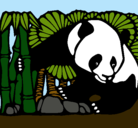 Dibujo Oso panda y bambú pintado por shilso