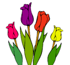 Dibujo Tulipanes pintado por doris