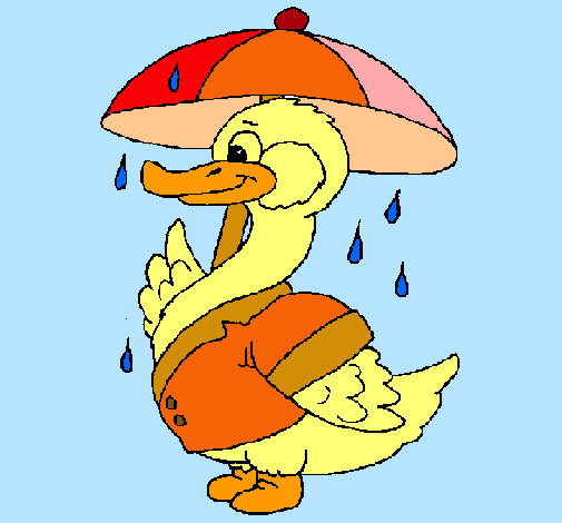 Pato bajo la lluvia