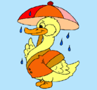 Dibujo Pato bajo la lluvia pintado por kikita