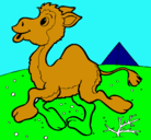 Dibujo Camello pintado por ABRILDIAZ