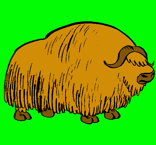 Bisonte