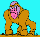 Dibujo Gorila pintado por AITORMORA