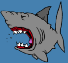 Dibujo Tiburón pintado por franklin