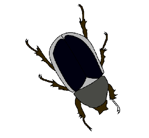 Escarabajo