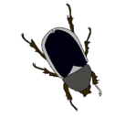 Dibujo Escarabajo pintado por escarabajo