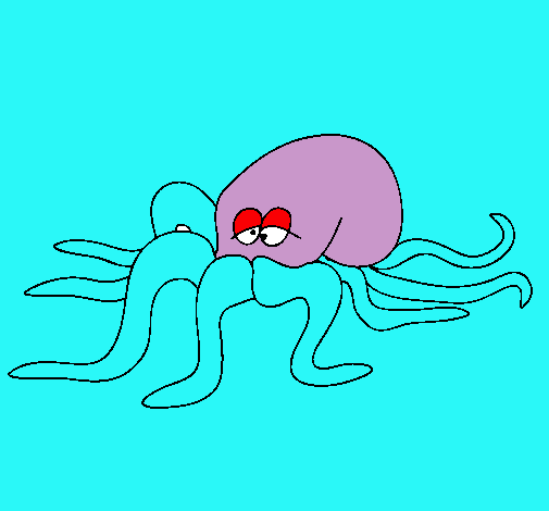 Pulpo