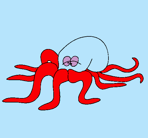 Pulpo