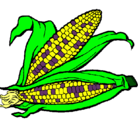 Dibujo Mazorca de maíz pintado por paola