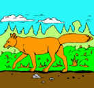 Dibujo Coyote pintado por ana