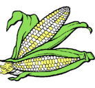 Dibujo Mazorca de maíz pintado por katherineortegam