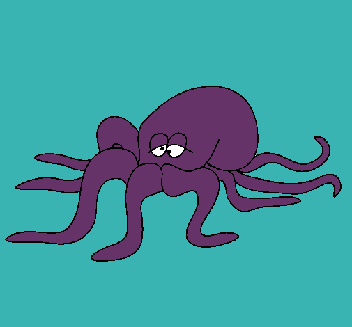 Pulpo