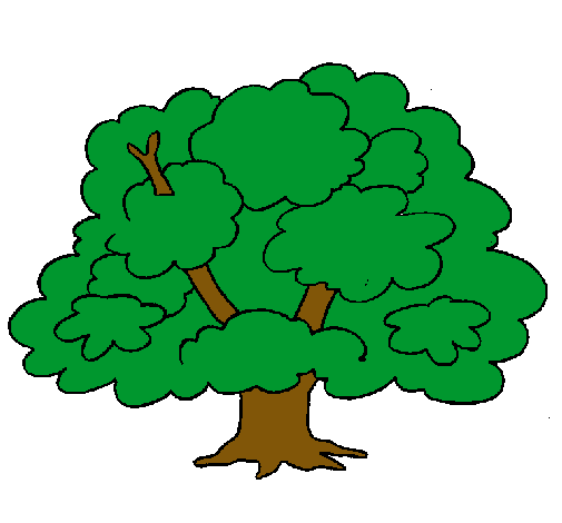 Árbol