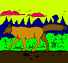 Dibujo Coyote pintado por pau