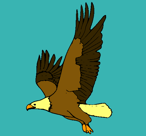 Águila volando