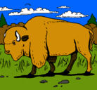 Dibujo Búfalo  pintado por Hector