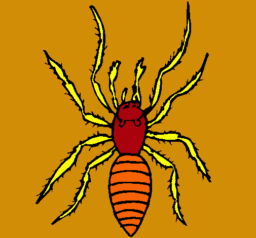 Araña tigre