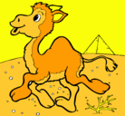 Dibujo Camello pintado por camellin