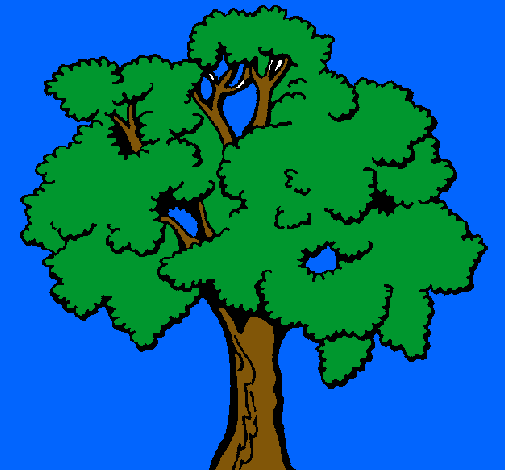 Árbol