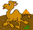 Dibujo Camello pintado por fiorellaymihermanayen