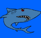 Dibujo Tiburón pintado por octavio