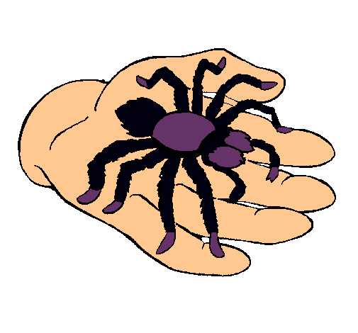 Tarántula