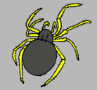 Dibujo Araña venenosa pintado por robertosonic