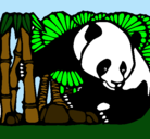 Dibujo Oso panda y bambú pintado por dennis