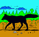 Dibujo Coyote pintado por etaerestusuli