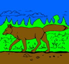 Dibujo Coyote pintado por OSPINO