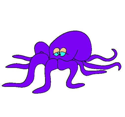 Pulpo