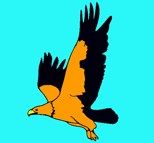 Águila volando