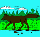 Dibujo Coyote pintado por sararusso
