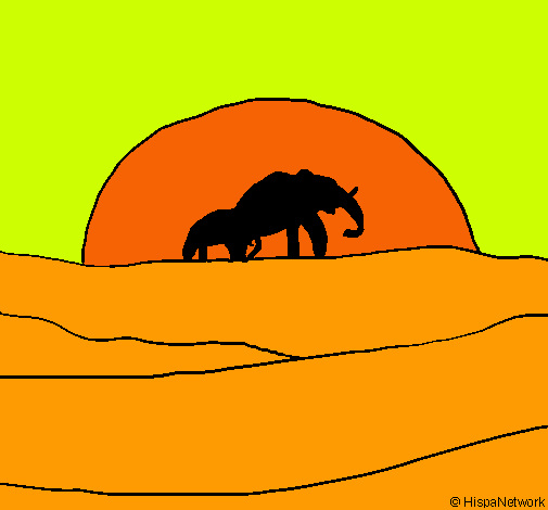 Elefante en el amanecer