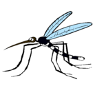 Dibujo Mosquito pintado por lafashion1