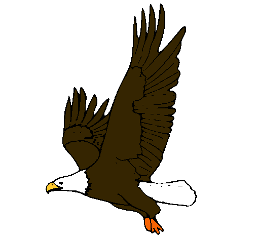 Águila volando