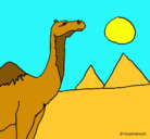 Dibujo Camello pintado por Laura