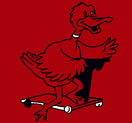 Pato en patinete